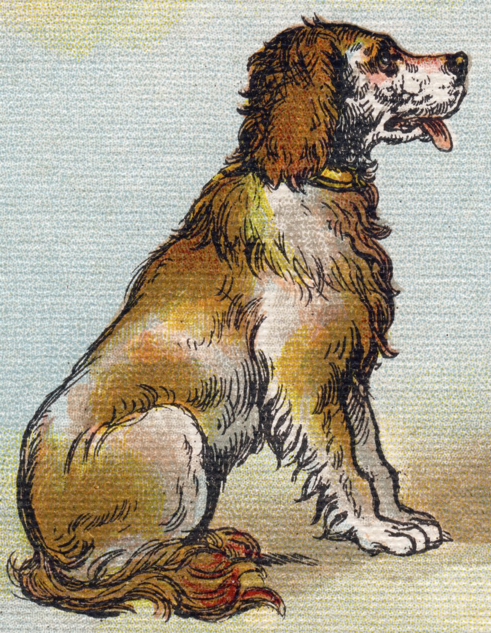 Hund. Gravur in "Alphabet de ma petite fille". Bernardin-Bechet und Fils, Buchhändler-Verleger, Paris, um 1895. von Unbekannt