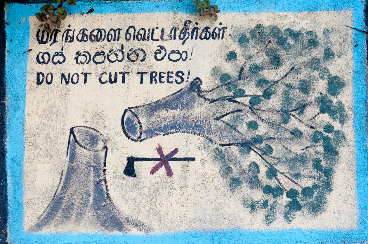 Umweltschutz; bemaltes Schild; „Bäume nicht fällen“; Darstellung eines gefällten Baumes und einer durchgestrichenen Axt; Nuwara Eliya; Sri Lanka; Asien von Unbekannt