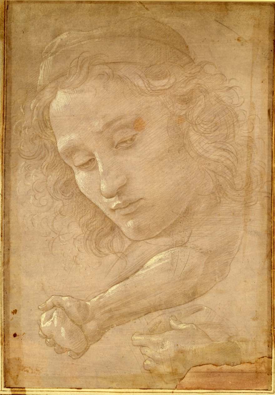 Kopf eines Jugendlichen, Zeichnung aus einer Seite des "Libro dei Desegni" von Georgio Vasari von Unbekannt