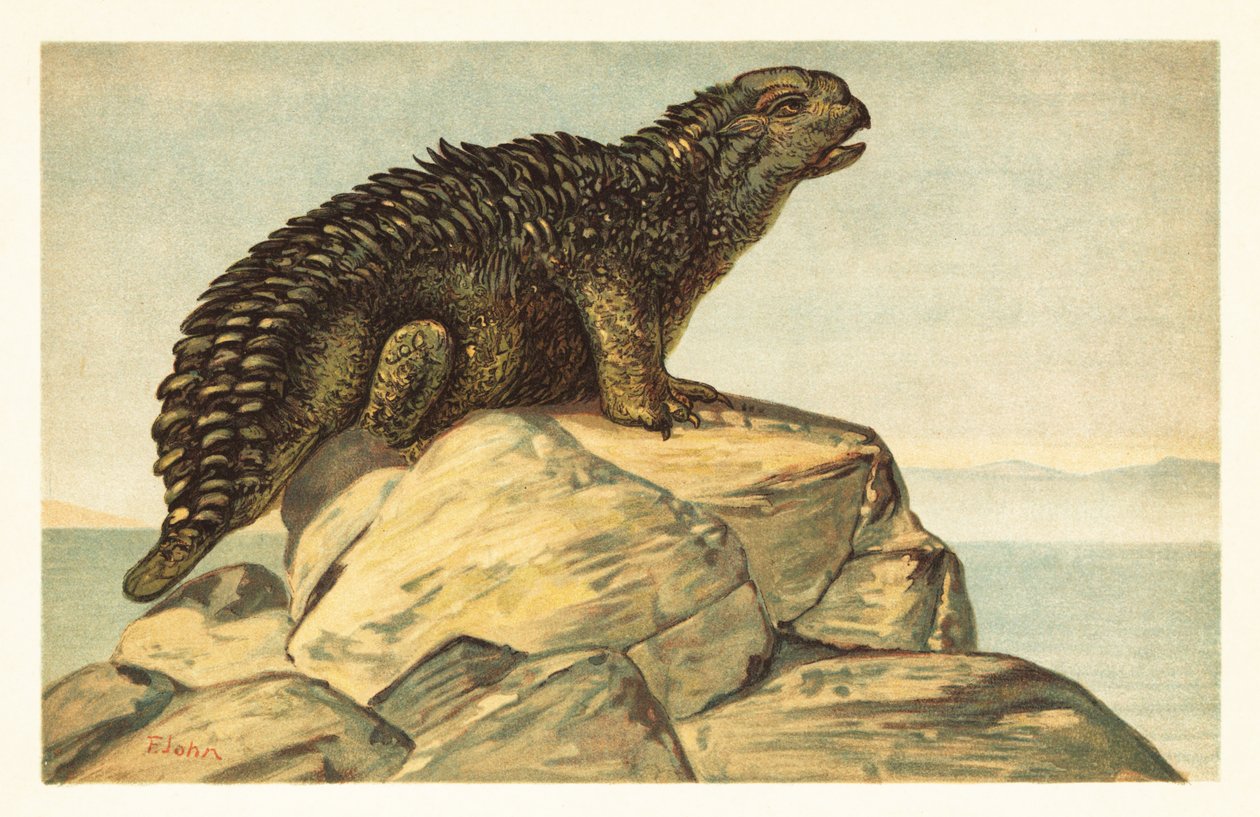 Hylaeosaurus armatus, ausgestorbener pflanzenfressender Ankylosaurier (Lithografie) von Unbekannter Künstler