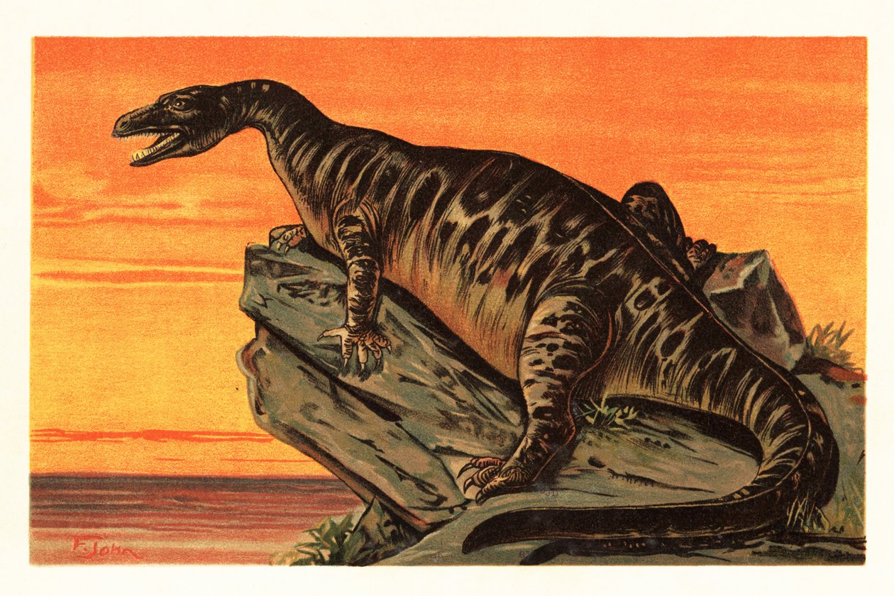 Iguanodon bernissartensis, ausgestorbene Art des Iguanodontian von Unbekannter Künstler