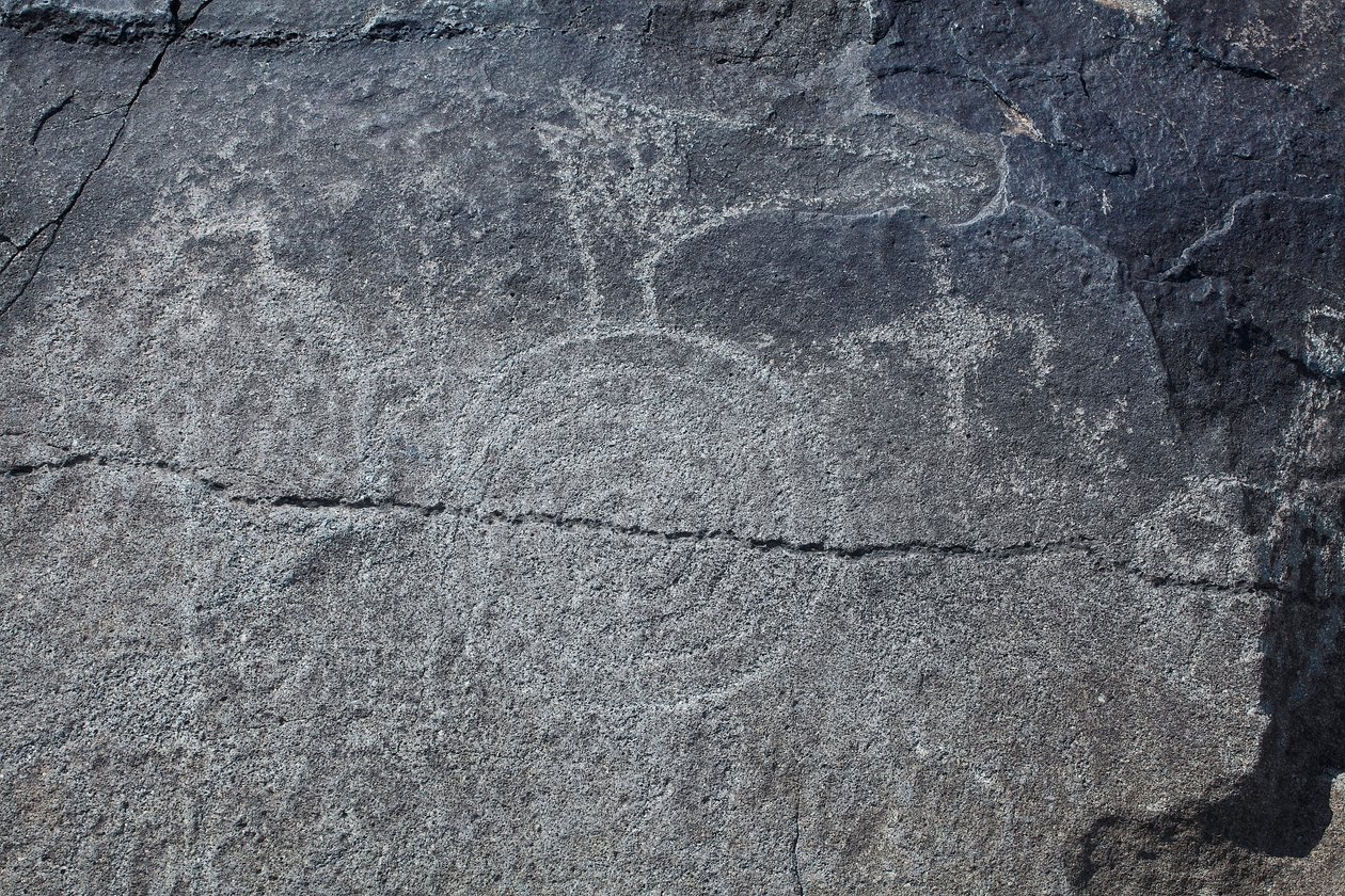 Indische Petroglyphen - Tier- und symbolische Darstellungen - Petroglyph National Monument - Albuquerque, New Mexico, USA von William M. Timlin