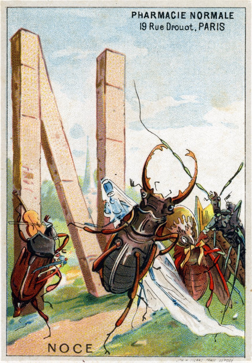 Buchstabe N wie Hochzeit. Künstlerisches Alphabet von Herrn Marinier von Unbekannt