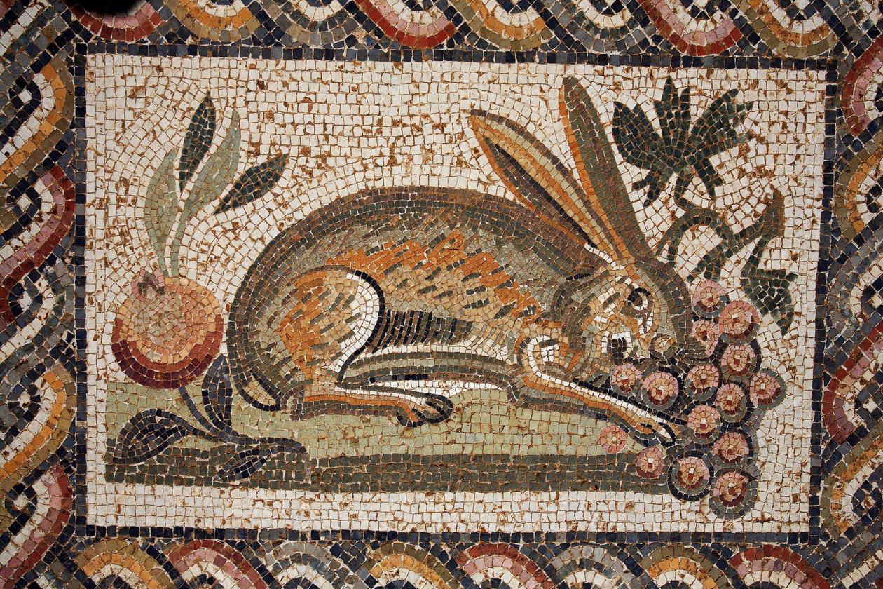 Mosaik, das einen Hasen mit Spähblick zeigt, der eine Traube grast (2. Hälfte des 2. Jahrhunderts n. Chr.) / in situ in El Jem (Antikes Thysdrus) / Tunesien von Unbekannt