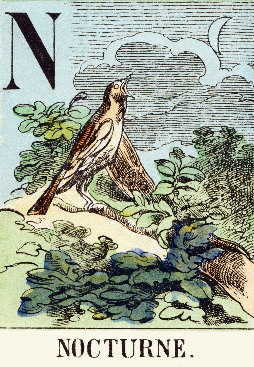 N : Nacht - Das Jagdalphabet, ca. 1890 (Gravur) von Unbekannt