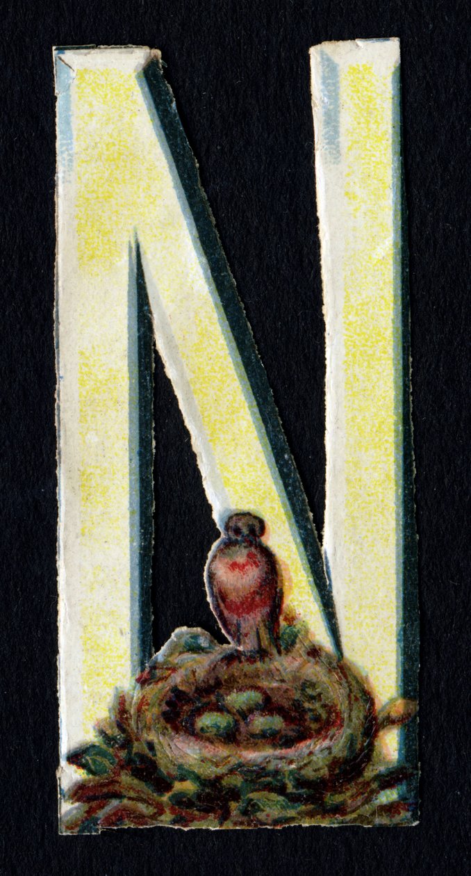 N wie Nest. Serie von 26 Waffel-Chromolithographien englischen Ursprungs. Ende des 19. Jahrhunderts. von Unbekannt