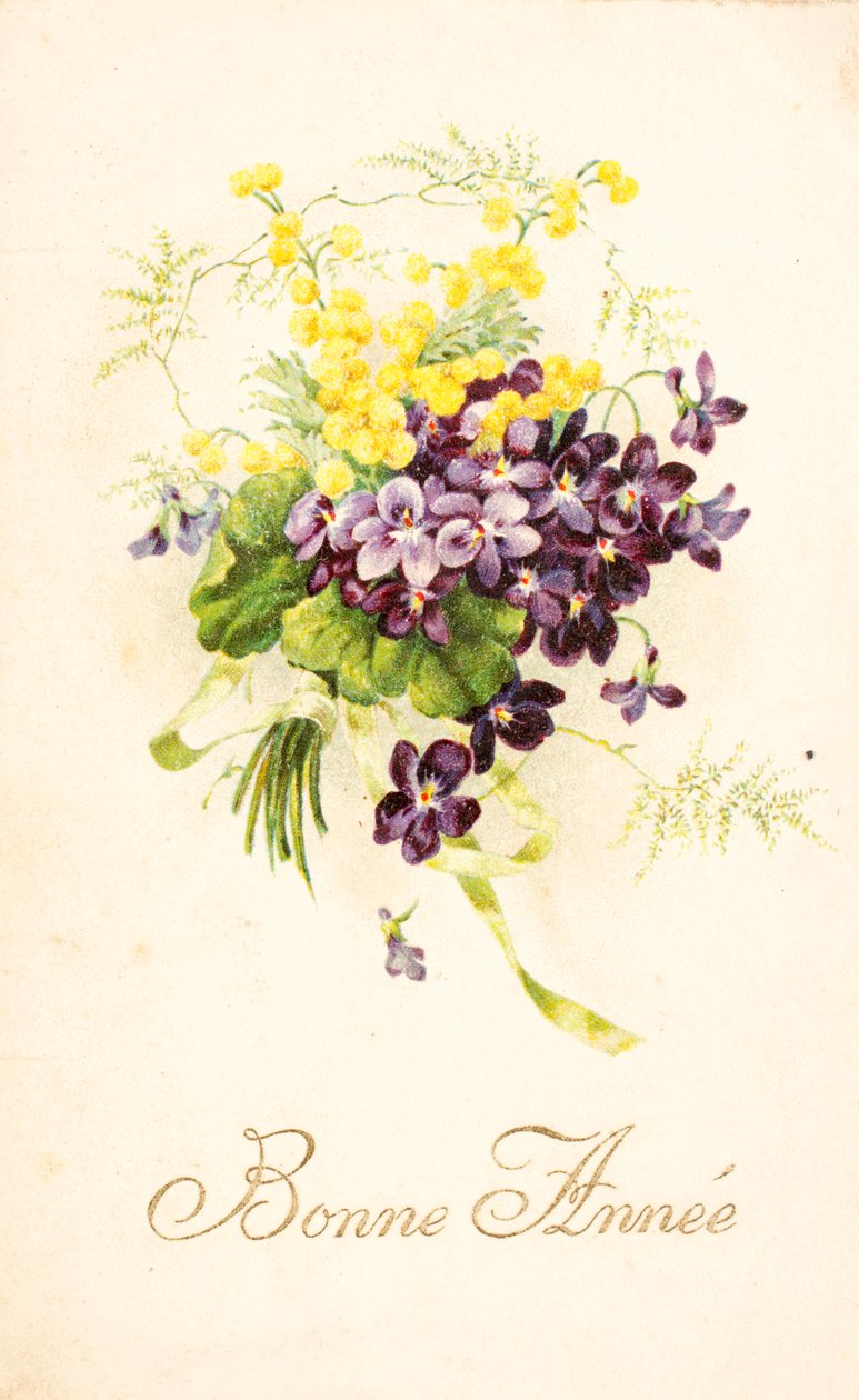 Alte Postkarte/Veilchen und Mimose von Unbekannt
