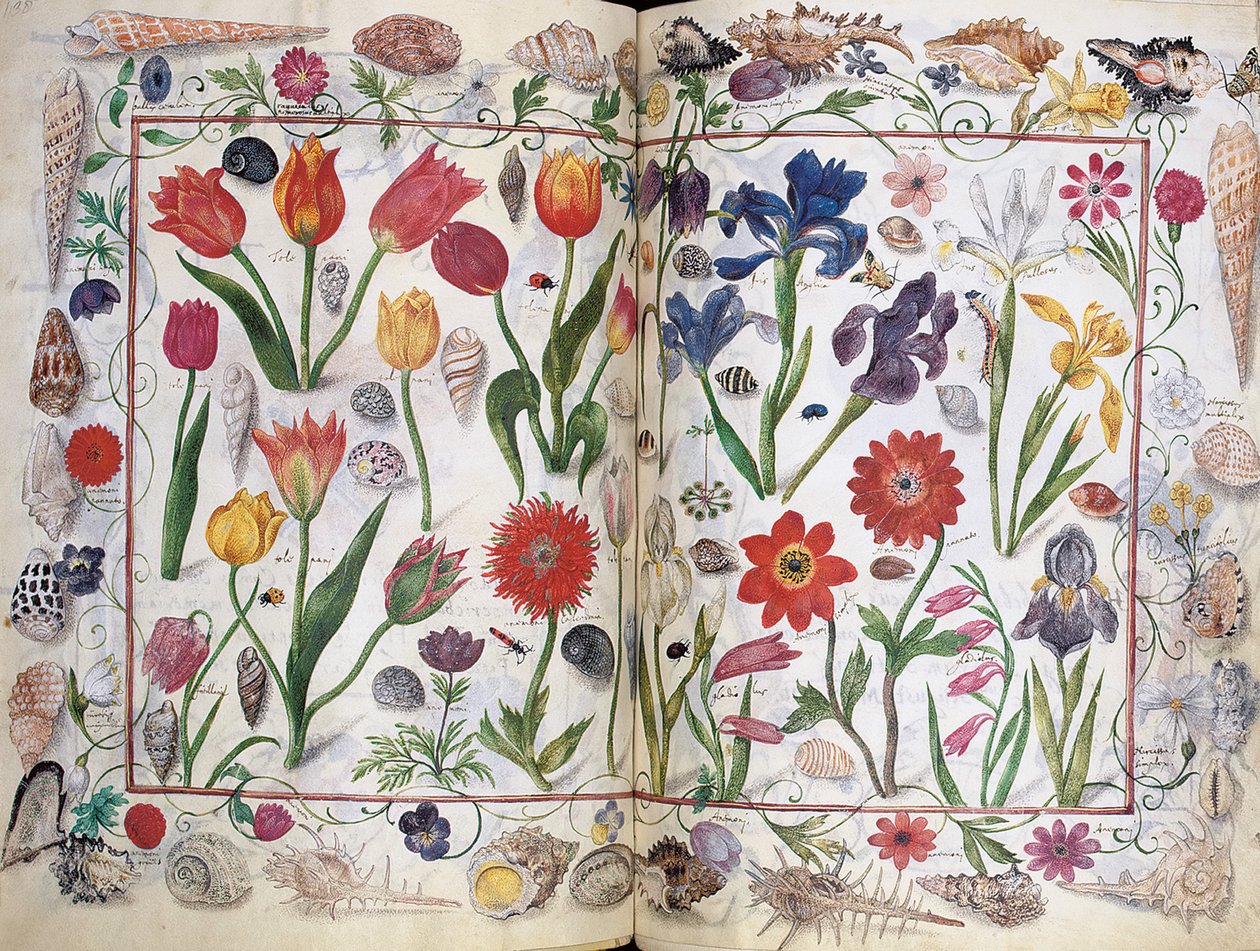 Seiten aus dem Album Amicorum von Philipp Hainhofer, 1596-1633 von Unbekannt