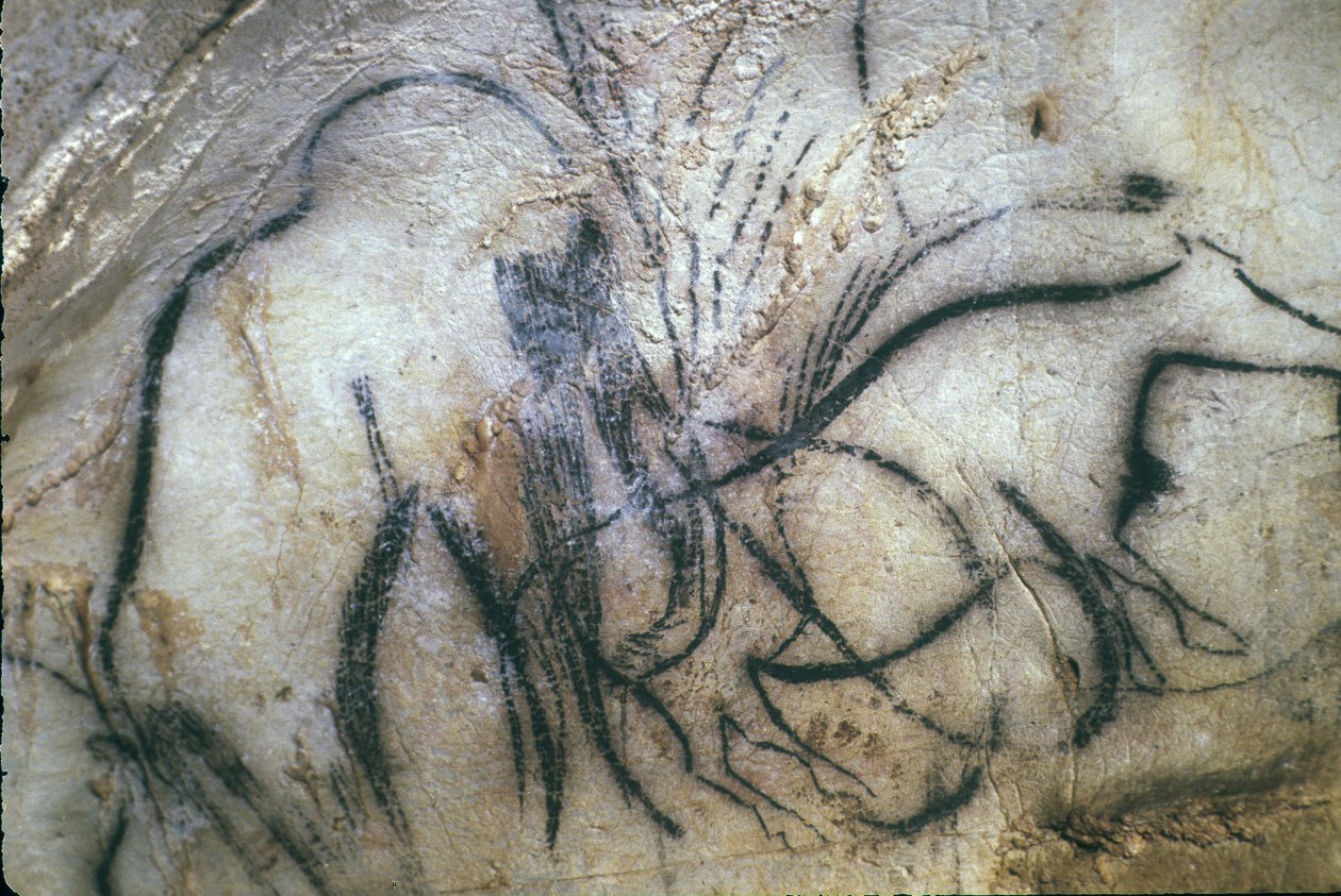 Prähistorische Höhle von Pech Merle / Kapelle der Mammuts / 25.000 Jahre / Cabrerets / Lot / Midi-Pyrénées / Frankreich von Unbekannt