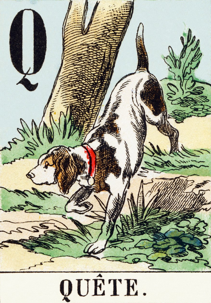 Q : Suche - Das Jagdalphabet, ca. 1890 (Gravur) von Unbekannt
