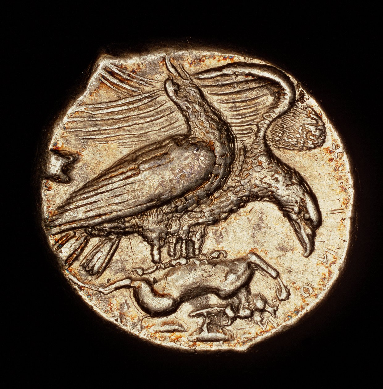 Seltene antike griechische Münze, Silber-Drachme, Agrigentum, Adler mit Hase um 410 v. Chr. (Foto) von Unbekannter Künstler