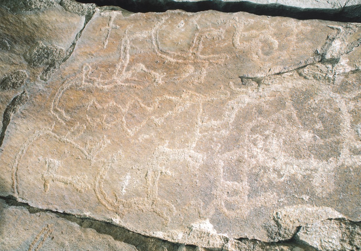 Felszeichnungen im Hunza-Tal, nahe dem archäologischen Gebiet Karimabad, Pakistan von William M. Timlin