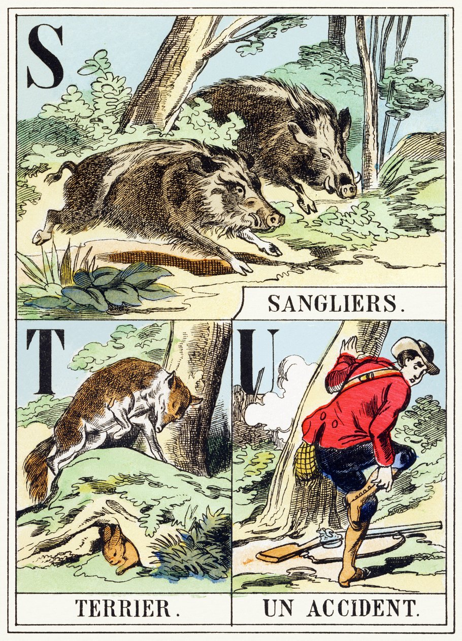 S T U: Wildschwein, Bau, Ein Unfall - Das Jagd-Alphabet, ca. 1890 von Unbekannt
