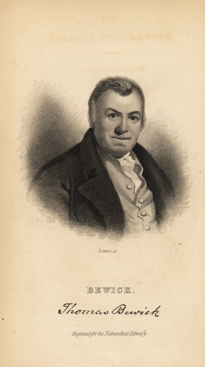 Thomas Bewick, englischer Graveur und Naturgeschichtsschreiber von Unbekannt