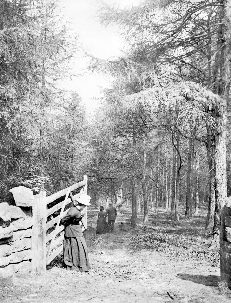 Vereinigtes Königreich: Eaton Woods, ca. 1890 von Unbekannt