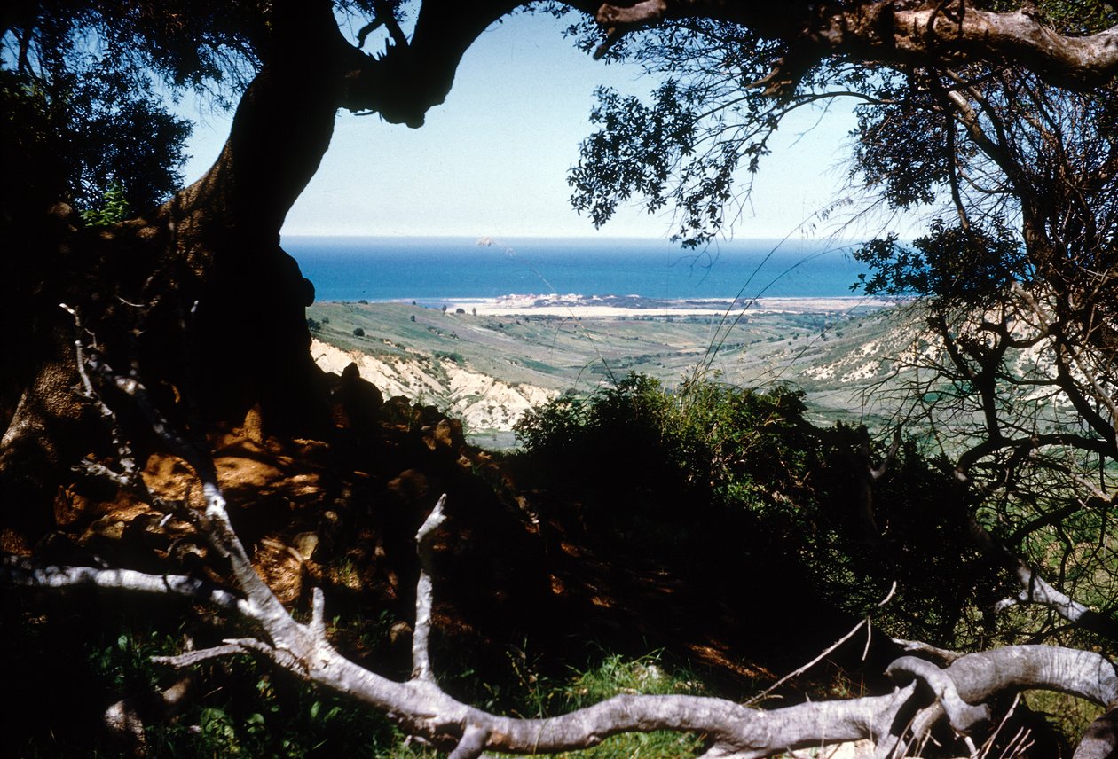 Blick auf das Mittelmeer, Kabylien, Algerien von Unbekannter Künstler