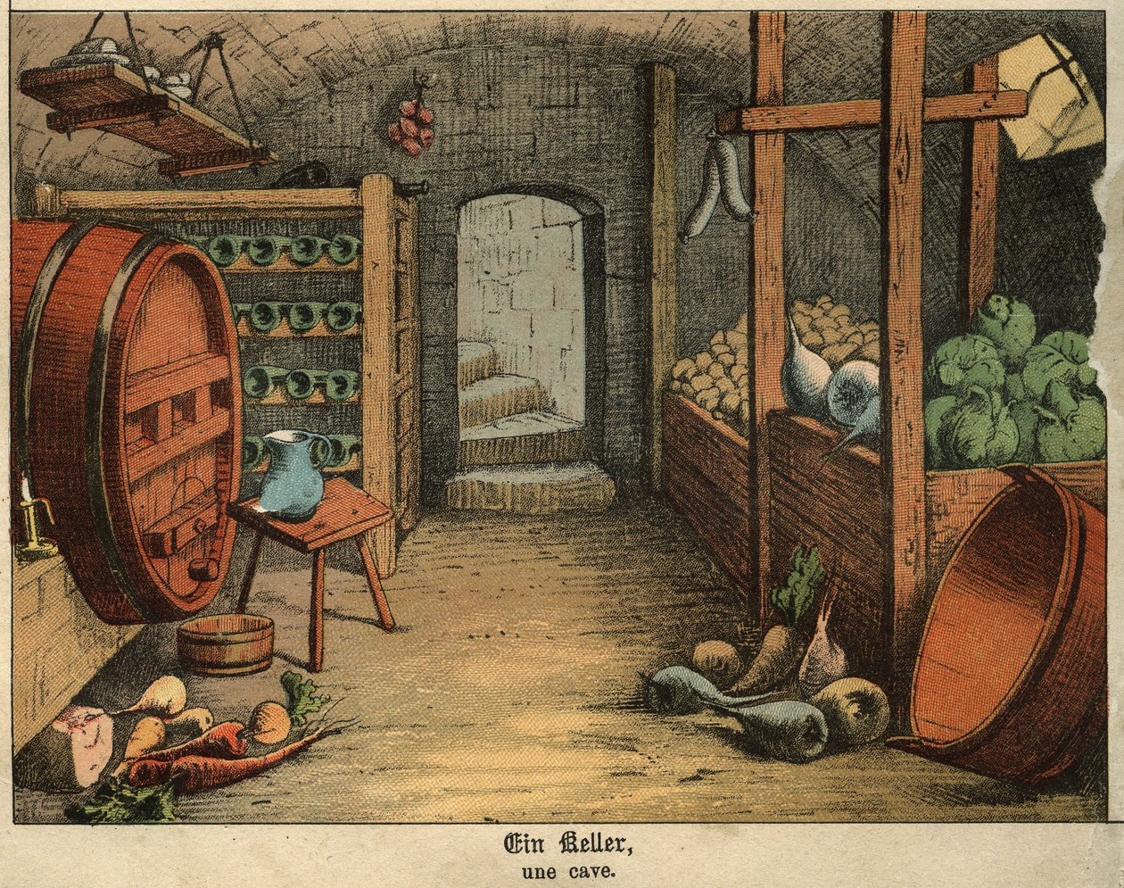 Ansicht des Inneren eines Kellers, der sowohl zur Aufbewahrung von Wein als auch von Gemüse und Wurstwaren genutzt wird. Tafel aus einem deutsch-französischen Kinderwörterbuch von Unbekannt