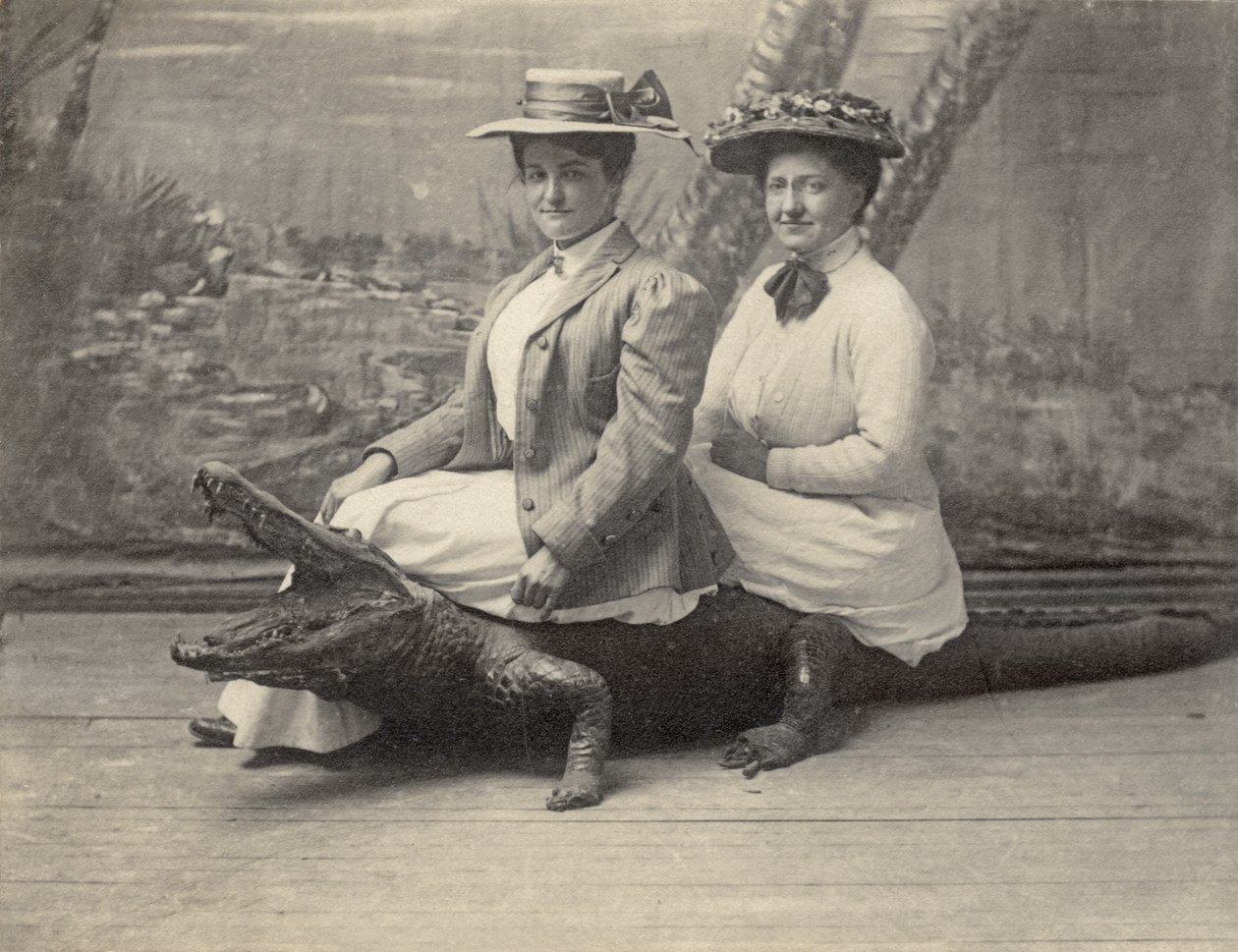 Frauen sitzen auf einem ausgestopften Alligator, ca. 1905 (s/w Foto) von Unbekannter Künstler