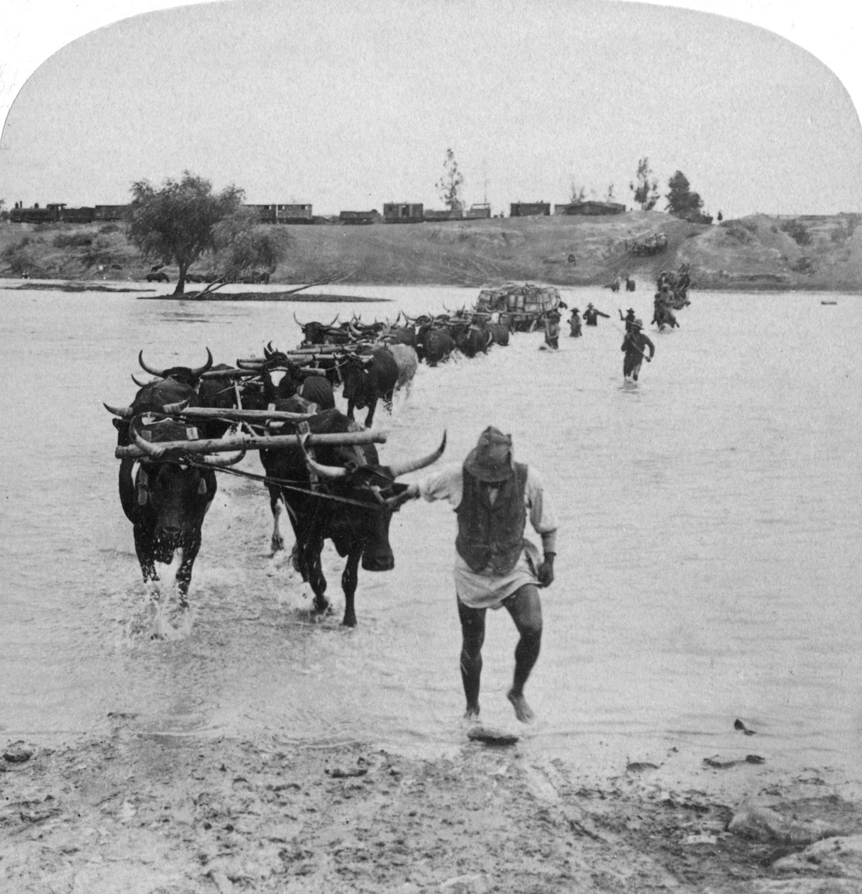 Durchquerung des Modder River, Burenkrieg, Südafrika von Underwood and Underwood