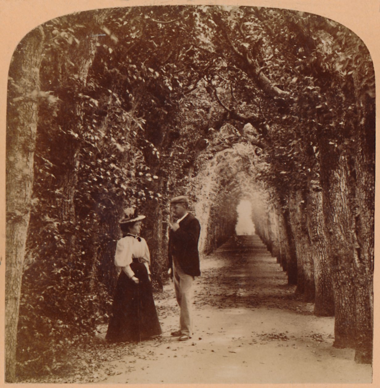 Queen Marys Laube, Hampton Court, London, England, 1896 von Underwood and Underwood