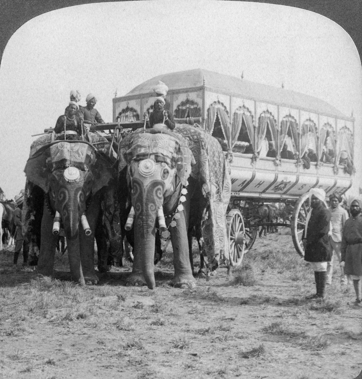 Reich geschmückte Elefanten und Kutsche des Maharadschas von Rewa beim Delhi Durbar, Indien, 1903 von Underwood and Underwood