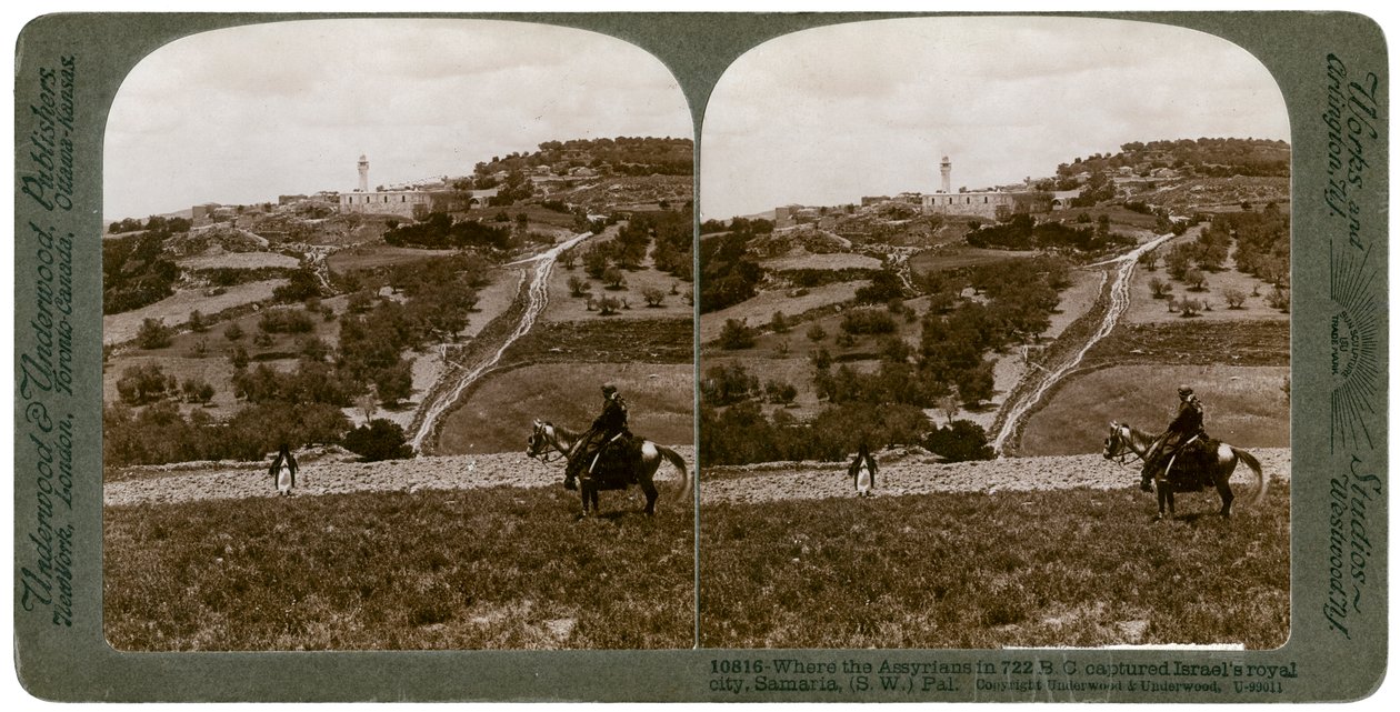Samaria, Südwest-Palästina, 1900er Jahre von Underwood and Underwood