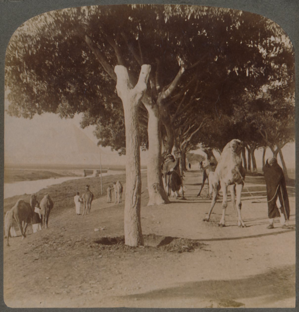 Der Weg zu den Pyramiden, Ägypten, 1896 von Underwood and Underwood