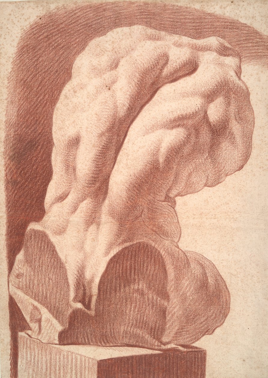 Akademische Studie eines Torsos von Unknown