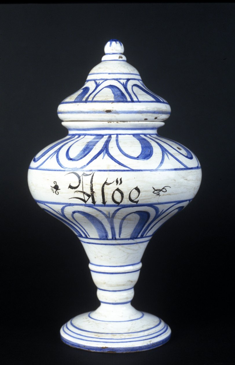 Albarelle: Apothekergefäß des 16. Jahrhunderts mit Aloe. Museum für Wissenschaft und Technologie, Mailand von Unknown artist