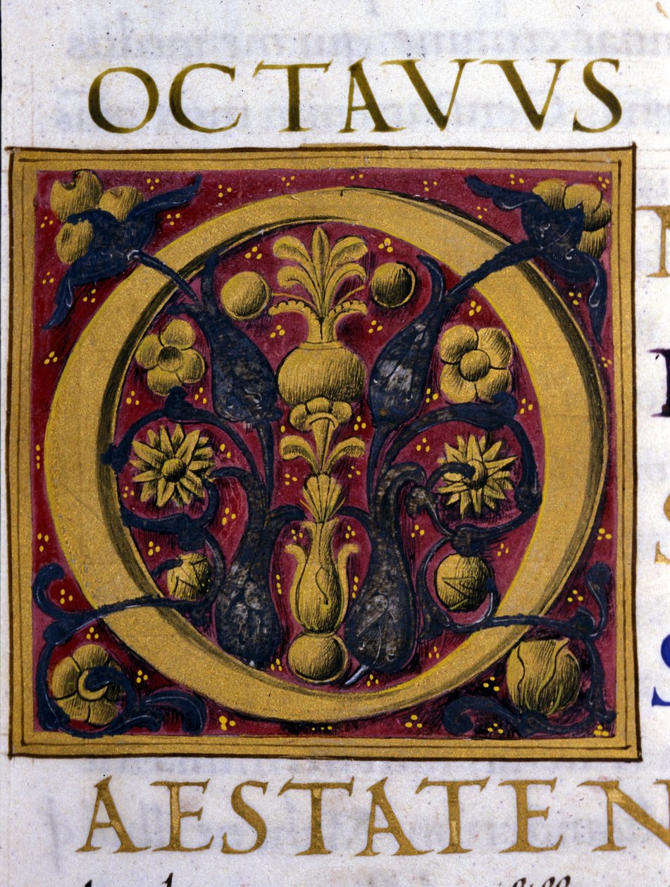 Alphabet: miniaturisierter Buchstabe O von Unknown artist