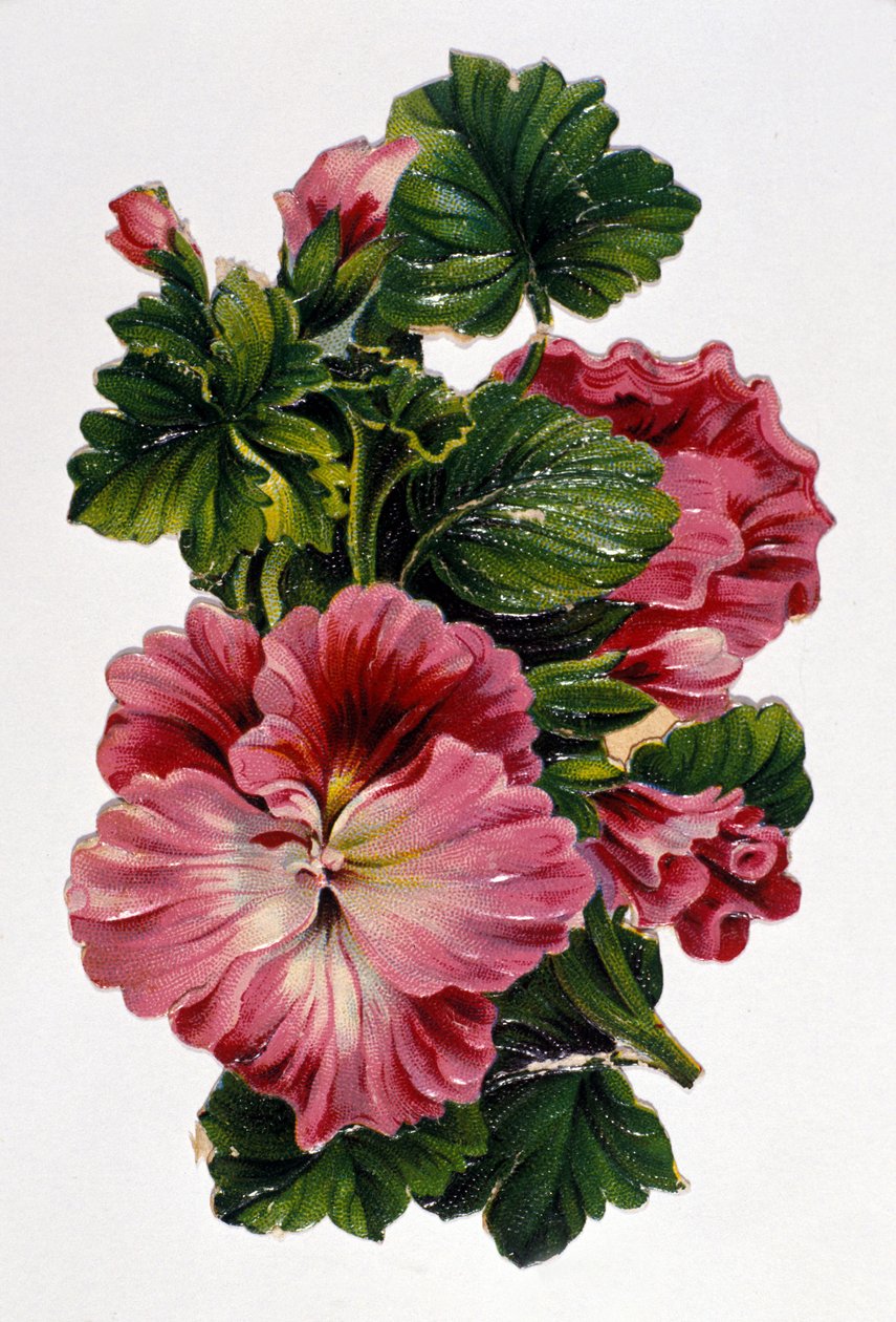 Blumenstrauß. Chromolithographie des 19. Jahrhunderts von Unknown artist