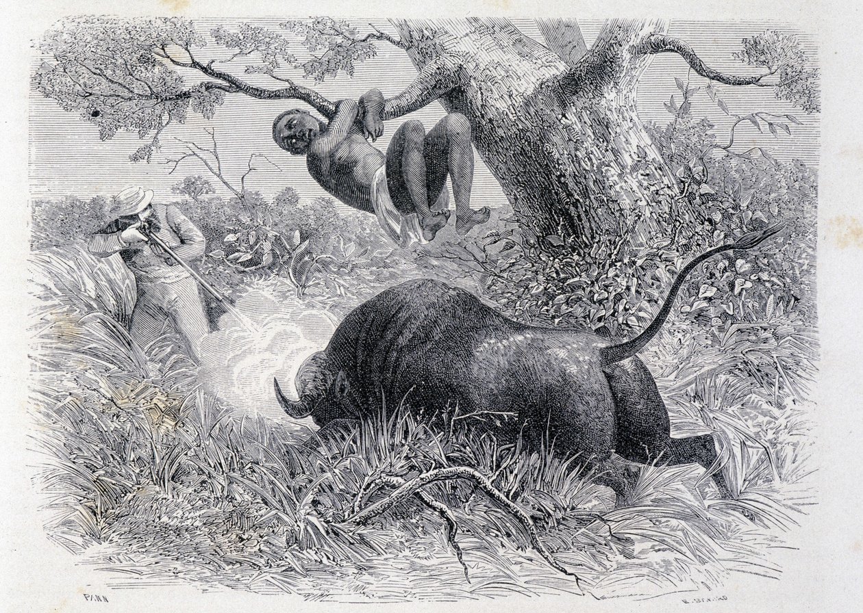 Kapitän Speke jagt Büffel - in "Tour du Monde" von Unknown artist