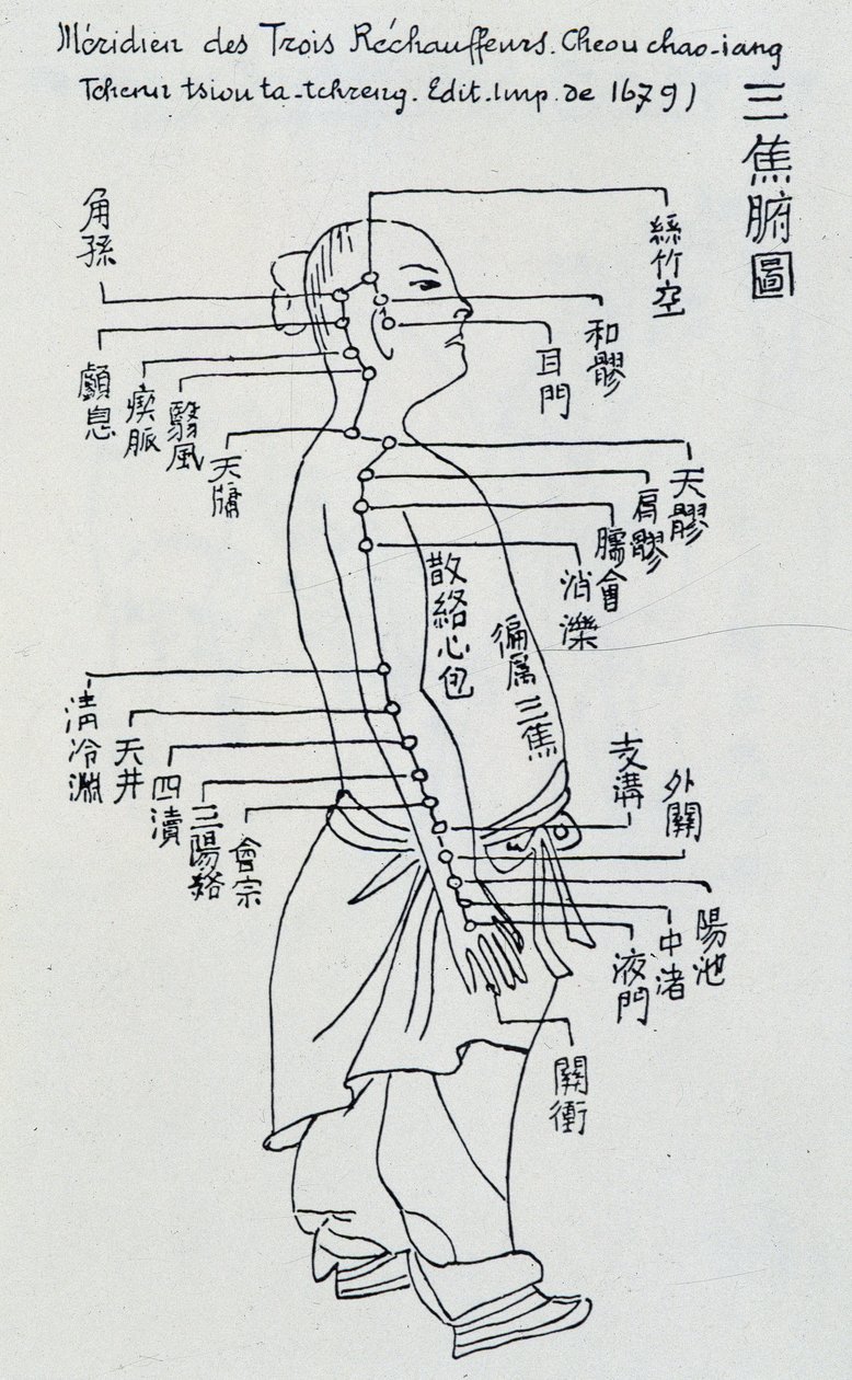 Chinesische Akupunktur: der Meridian der drei Erwärmer von Unknown artist