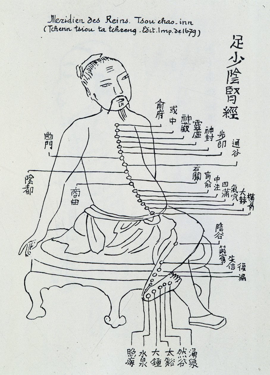 Chinesische Akupunktur: der Meridian der Nieren von Unknown artist