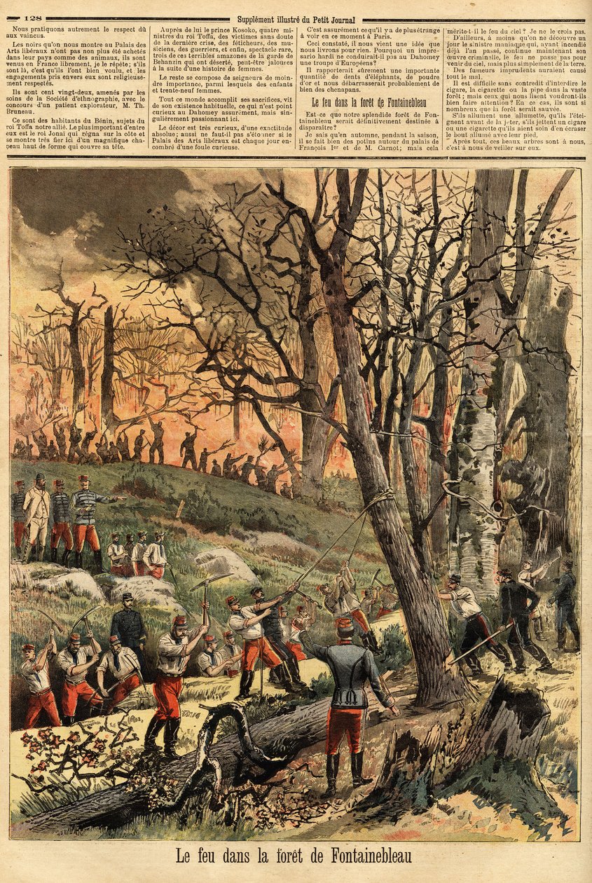 Kriminelles Feuer im Wald von Fontainebleau. Gravur in „Le petit journal“ 22/04/1893. Selva-Sammlung von Unknown artist