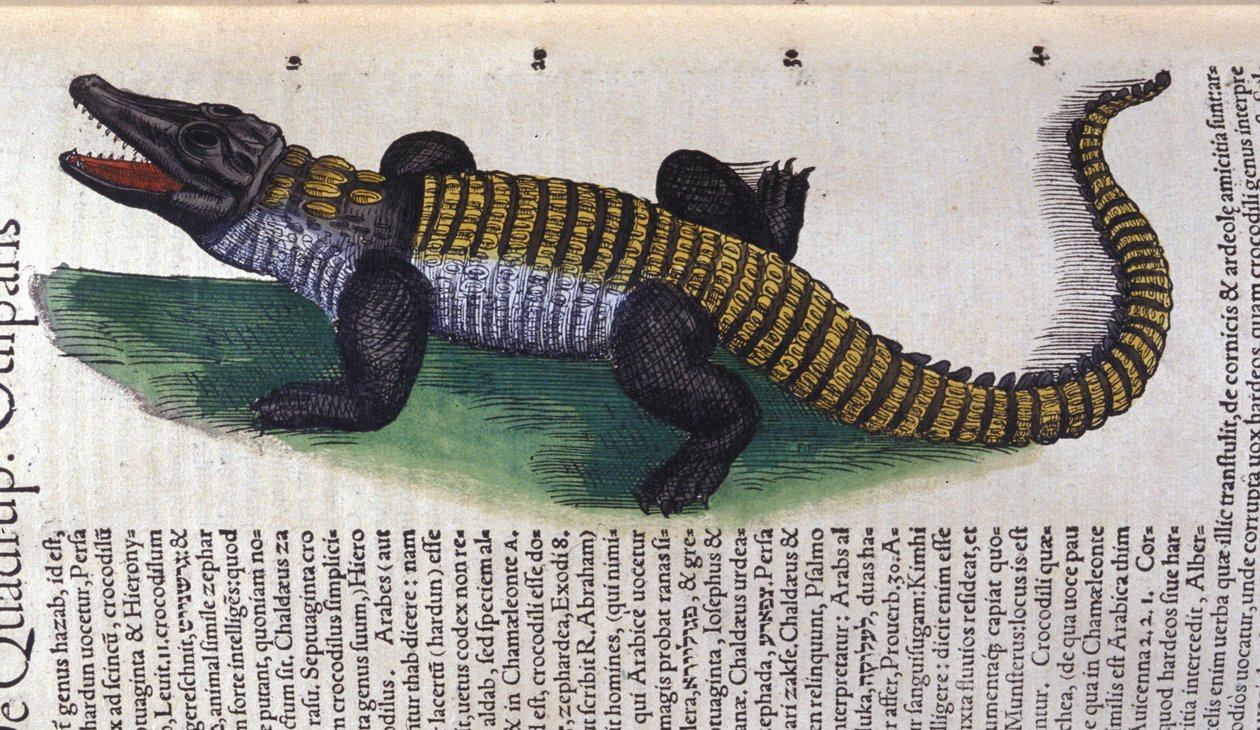 Krokodil. In Historia Animalium von Conrad Gesner (1516 - 1565), Tiguri von Unknown artist