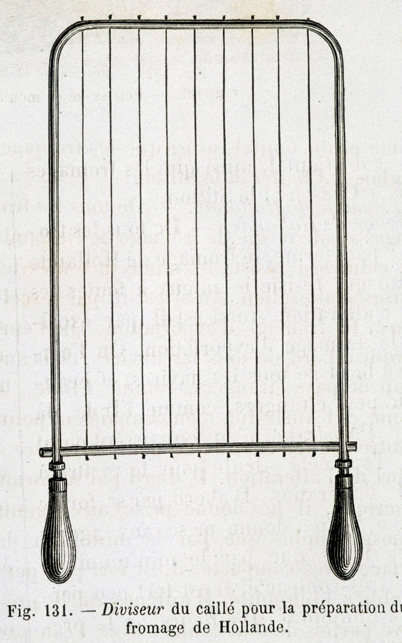 Querteiler für die Zubereitung von holländischem Käse - in „The wonders of industry“ von Louis Figuier von Unknown artist