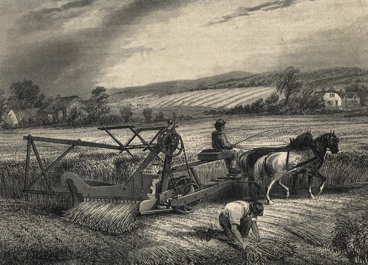 Cyrus McCormicks Erntemaschine von 1831, ausgestellt auf der Kristallpalast-Ausstellung von 1851 von Unknown artist