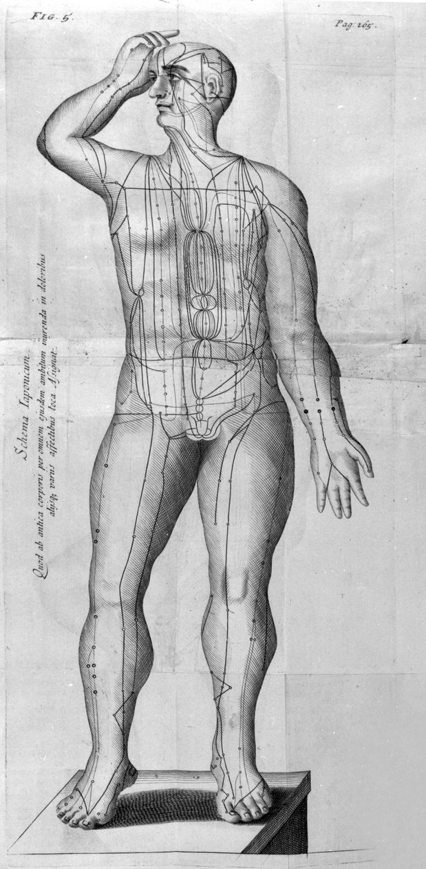 De Acupunctura von W. Ten Rhijne. London 1683. Erster westlicher Text über Akupunktur von Unknown artist