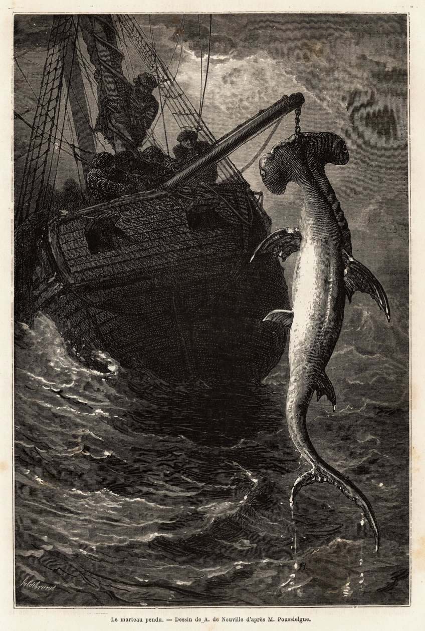 Fischen eines Hammerhais, 7 Meter lang, in den Gewässern nahe der Insel Anastasia. Gravur zur Illustration der Geschichte vier Monate in Florida, von Achille Pousselgue, 1851-1852, veröffentlicht in „Le tour du monde“ 1870-1871, herausgegeben von Edouard C von Unknown artist