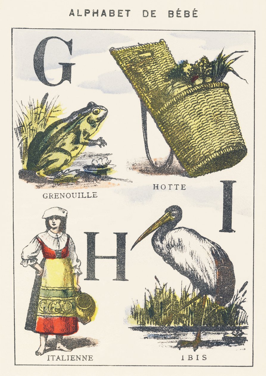 G H I: Frosch, Kapuze, Italiener, Ibis von Unknown artist
