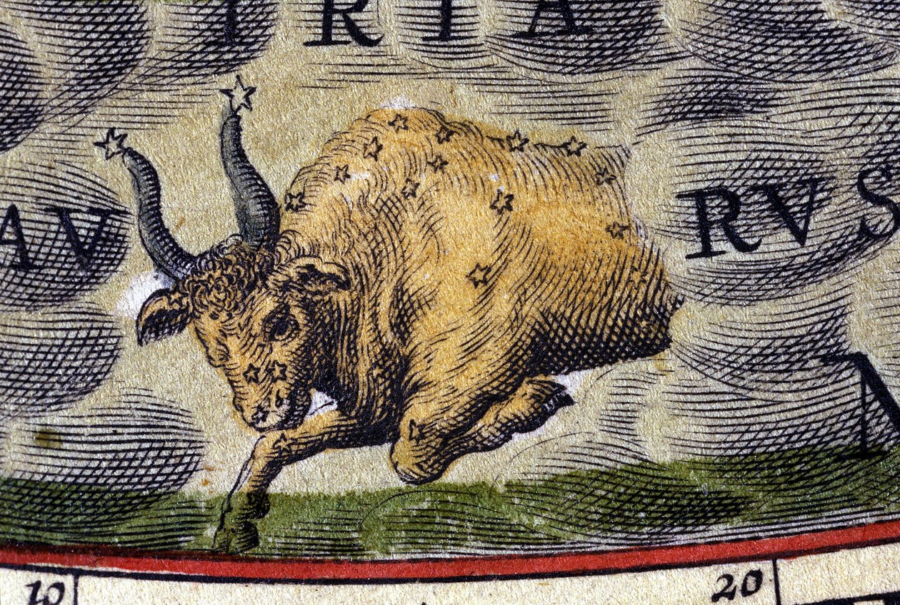Horoskop: Sternzeichen Stier von Unknown artist