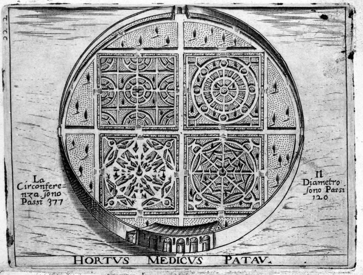Hortus Medicus Patav: Medizinischer Garten von Padua von Unknown artist