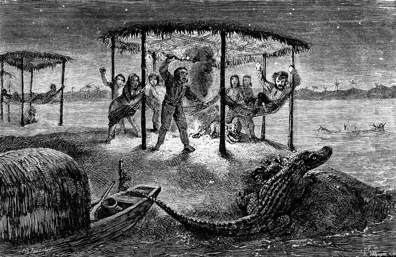 Illustration aus "The Naturalist on the River Amazon" von Henry Walter Bates von Unknown artist