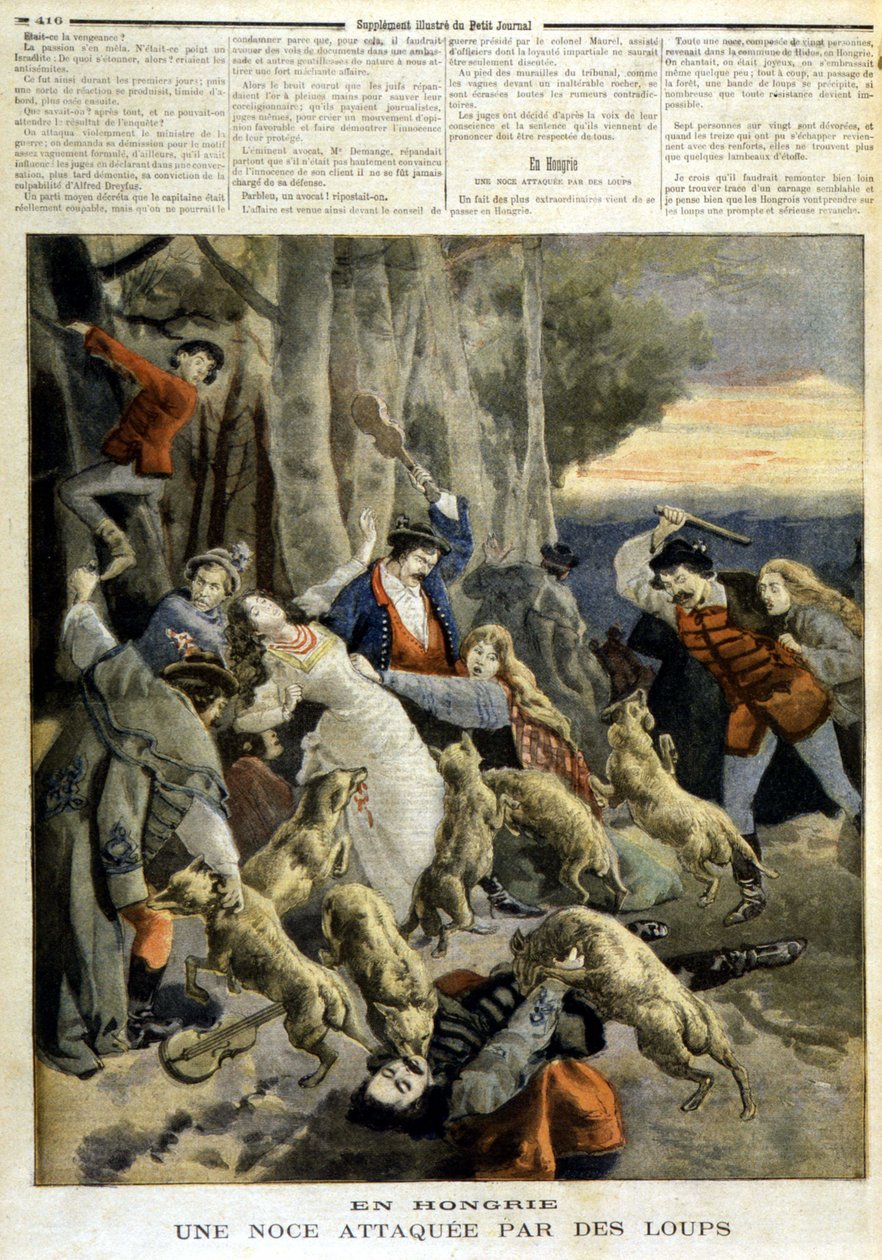 In Ungarn: Eine Hochzeit wird von Wölfen angegriffen - in „Le Petit Journal“ vom 23.12.1894 von Unknown artist