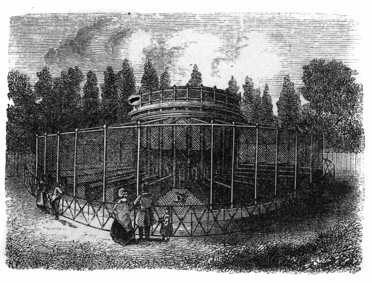 Jardin des Plantes in Paris im Jahr 1861: Fasanerie von Unknown artist