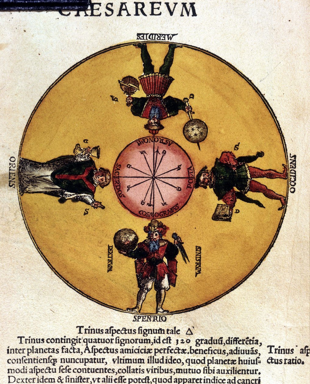 Die Antipoden - in „Astronomicon caesarum“, Abhandlung aus dem 16. Jahrhundert von Unknown artist