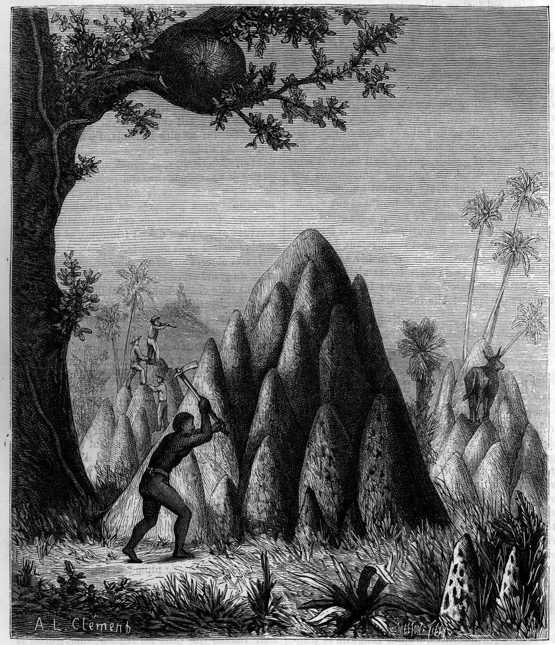 Nester der „Kriegerischen Termite“ und der „Baumtermite“ in Afrika. Gravur in „La Nature: revue des sciences et de leurs applications aux arts et a l