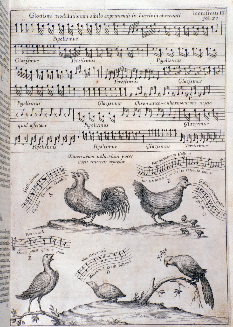 Seite aus Musurgia (1650) von Unknown artist