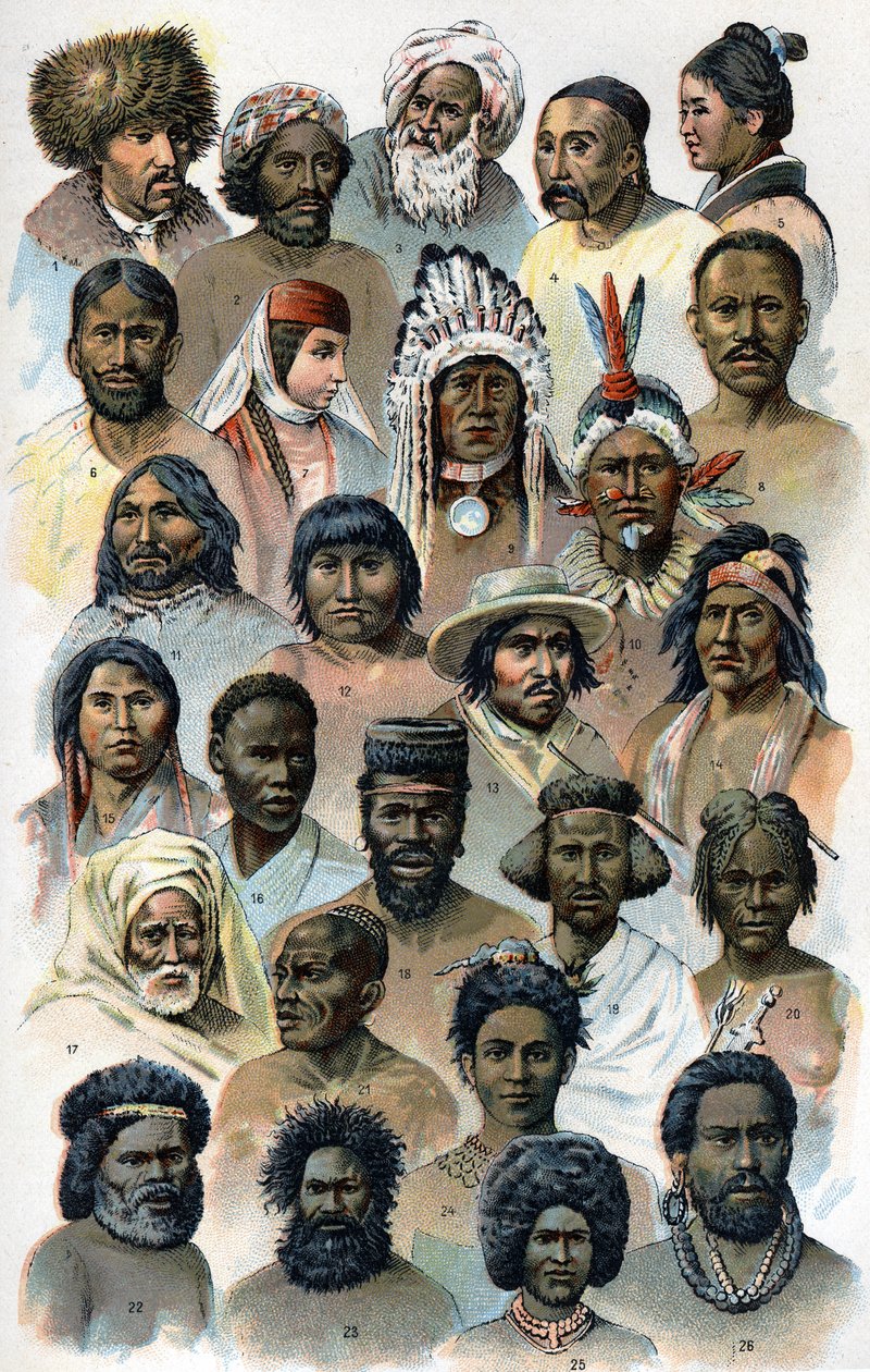 Physiognomie und Kopfform fremder Menschenrassen. In „Die neue Naturmedizin“ von F.E. Bilz, 1898 von Unknown artist